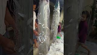 Karnali Ko Taja Maxa highlightsシ゚ viralclips Karnali River Fish [upl. by Regnij591]