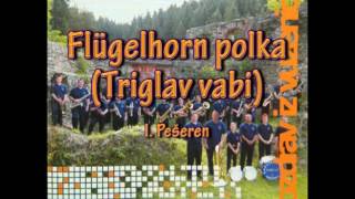 Vaška godba Vuzenica  Flugelhorn polka Triglav vabi [upl. by Pachston258]