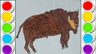 How to Draw Bison Step by Step Easy for Kids [upl. by Nilrac]