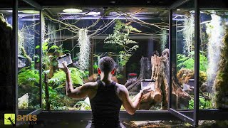 I Added Animals Into My Giant Rainforest Vivarium [upl. by Lyndy626]