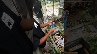 pelepasan glatik di aviary shortvideo kicaumania birdaviary burung birdcage timnasindonesia [upl. by Hilbert]