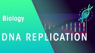 DNA Replication  Genetics  Biology  FuseSchool [upl. by Flss]