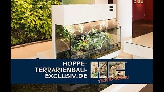 Pfeilgiftfrosch  Terrarium für quotErdalquot  die mit dem Frosch [upl. by Elac]