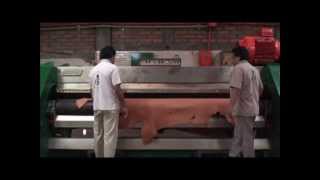 Leather Tanning ProcessChahin Tannery for Weaver Leather [upl. by Ettenav]