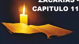 ZACARIAS CAPITULO 11 [upl. by Enait]