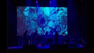 Mazzy Star  live 20190224 AUDIO Oakland CA Full Show 15 Songs [upl. by Anitrak]