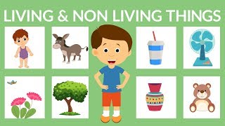 Living and Nonliving Things for Kids  Living Things  Nonliving Things [upl. by Reamy]