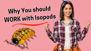 Isopods Why Should You Keep Them [upl. by Roscoe]