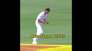 Dale Steyn Best Tricks cricket dalesteyn [upl. by Etnaled829]