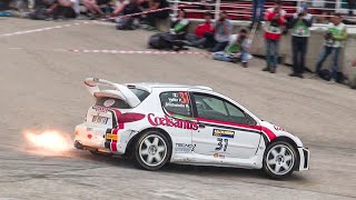 Citroën Xsara WRC VS Peugeot 206 WRC  BEST OF [upl. by Yulma]