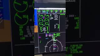 Challenger 650  cruise l xplane 12 [upl. by Ydnirb121]