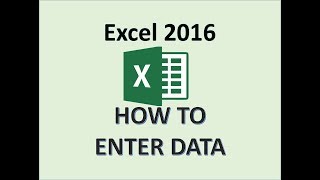 Excel 2016  Enter Data  How to Input Put Type into Worksheet  Entering Spreadsheet in MS Computer [upl. by Ytima266]