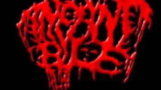 funny breakdowns and intros in deathcore and goregrind [upl. by Coralyn]