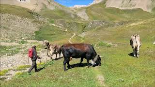 Binn  Saflischpass  Rosswald  24 Aug 2020 [upl. by Nonahs]