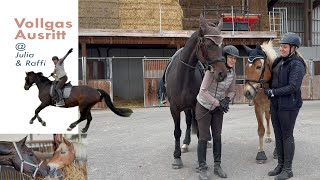 Ausritt auf Niederösterreichisch mit Wiesengalopperl [upl. by Marlyn]