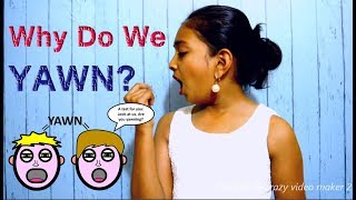 Why Do We Yawn  Yawn Meaning  Secrets Behind Yawning  English  Sashas Vlog [upl. by Mckale]