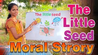 The Little Seed Story 🌞🌱🌧️ Teaching Classes  Storytelling  little Seed activity  education [upl. by Edeline]