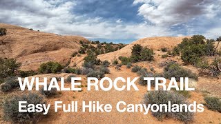 Whale Rock Trail Easy 1 Mile Hike Canyonlands Full Hike 4K [upl. by Karoline]