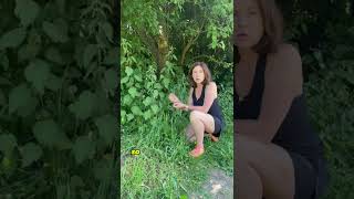 Nettles A Natural Remedy for Allergies Joint Health and More [upl. by Nylatsyrc]