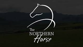 The Northern Horse  horsetrails on the Montusi Estate [upl. by Haorbed]