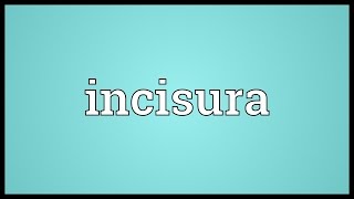 Incisura Meaning [upl. by Lanae840]