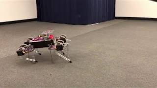 SimtoReal Learning Agile Locomotion For Quadruped Robots [upl. by Sidnarb442]