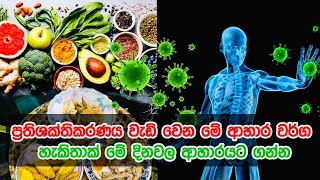 ලෙඩ රෝග වලට එරෙහිව ඔයාගේ ප්‍රතිශක්තිකරණය වැඩි කරන ආහාර  Foods to Boost Your Immune System [upl. by Ahteral]