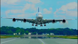 Five Airbus A380800 Landings at Nagoya Airport  World of Airports [upl. by Zingale446]