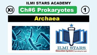 archaea class 11 biology chapter 6 prokaryotes 11th biology chapter 6 [upl. by Sholes251]