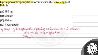 Cyclic photophosphorylation occurs when the wavelength of light is [upl. by Payne]