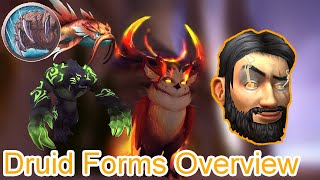 How to Obtain ALL Druid Forms  World of Warcraft Class Guides [upl. by Figge]