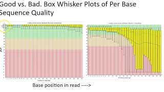 FastQC tool for read data quality eval [upl. by Esiuolyram]