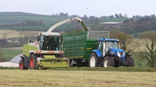 Silage 2023  Claas 890 JCB TM420 amp TM320s with New Holland amp John Deere [upl. by Ahsinel420]