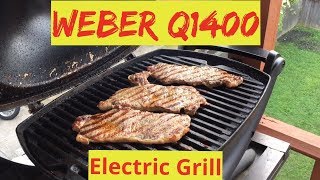 Weber Q1400 Electric Grill [upl. by Carlyle]