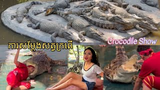 ការសម្ដែងសត្វក្រពើ Crocodile Show At PP Safari Zoo 4k phnom penh safari crocodile show [upl. by Nylarat]