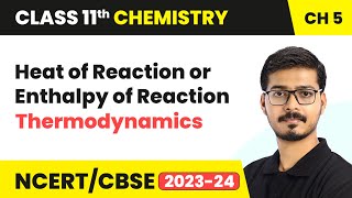 Heat of Reaction or Enthalpy of Reaction  Thermodynamics  Class 11 Chemistry Chapter 5 [upl. by Erminna140]