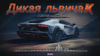 AlexRusДикаяльвичамXEENremix  bass boosted  slowed [upl. by Spector784]