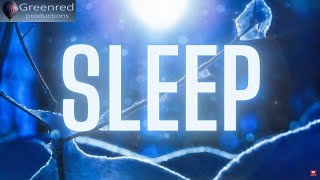 Deep Sleep Music Binaural Beats Sleeping Music Lucid Dreaming Music [upl. by Whipple]