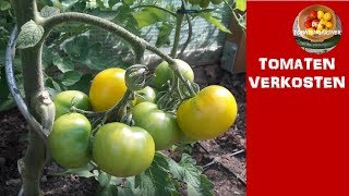 Tomaten verkostenGoldene KöniginSub Arctic Plentyrote Salattomate [upl. by Shewchuk82]