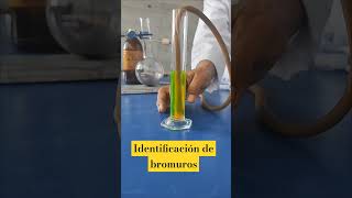 Identificación de bromuro quimicainorganica ciencia [upl. by Grissel]