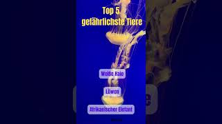 Top 5  gefährlichste Tiere shorts [upl. by Catherine]