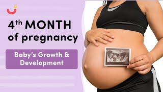 4 Month Pregnancy Baby Movement  Fetal Growth amp Development in 4 Months of Pregnancy  Mylo Family [upl. by Karlens]