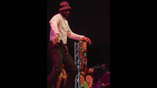 DANCE ELOKO OYO DE FALLY IPUPA dance fallypupa fallyipupatypebeat afrobeats fallyipupa dancer [upl. by Issak9]