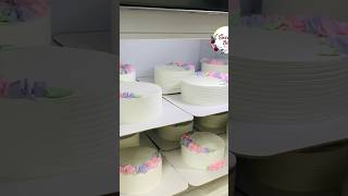 6 മണിക്കൂറിൽ 12 Cakes cakes baking cakerecipe reels shorts bulkorder business [upl. by Raasch]