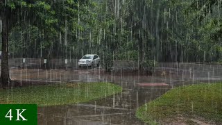 Heavy Rainfall at the Park with Thunder TYG [upl. by Lanette]