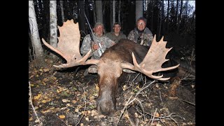 FLY IN ALBERTA MOOSE HUNT  FACE TO FACE AT 40 YARDS [upl. by Lizbeth]