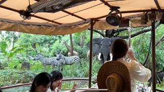 4K HONG KONG DISNEYLAND  Jungle River Cruise [upl. by Anahtor]