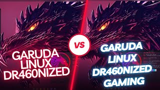 Garuda Dr460nized Gaming VS Dr460nized Edition [upl. by Yelrahc]