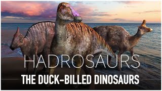 Hadrosaurs The DuckBilled Dino’s  Dinosaur Documentary [upl. by Akimik748]