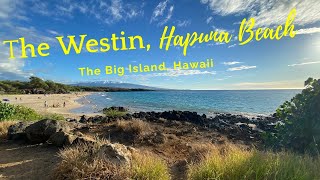 The Westin Hapuna Beach Resort Hawaii USA [upl. by Jeu]